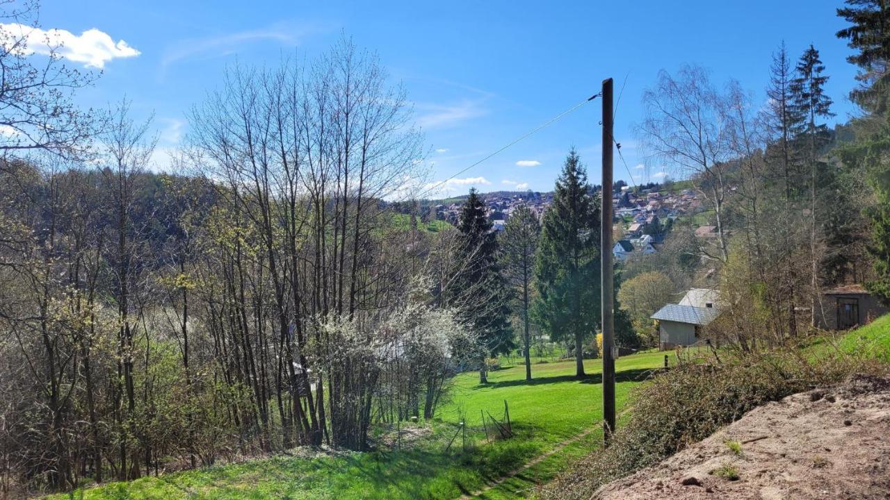 Waldpension Am Koepfchen Kurort Steinbach-Hallenberg Bagian luar foto
